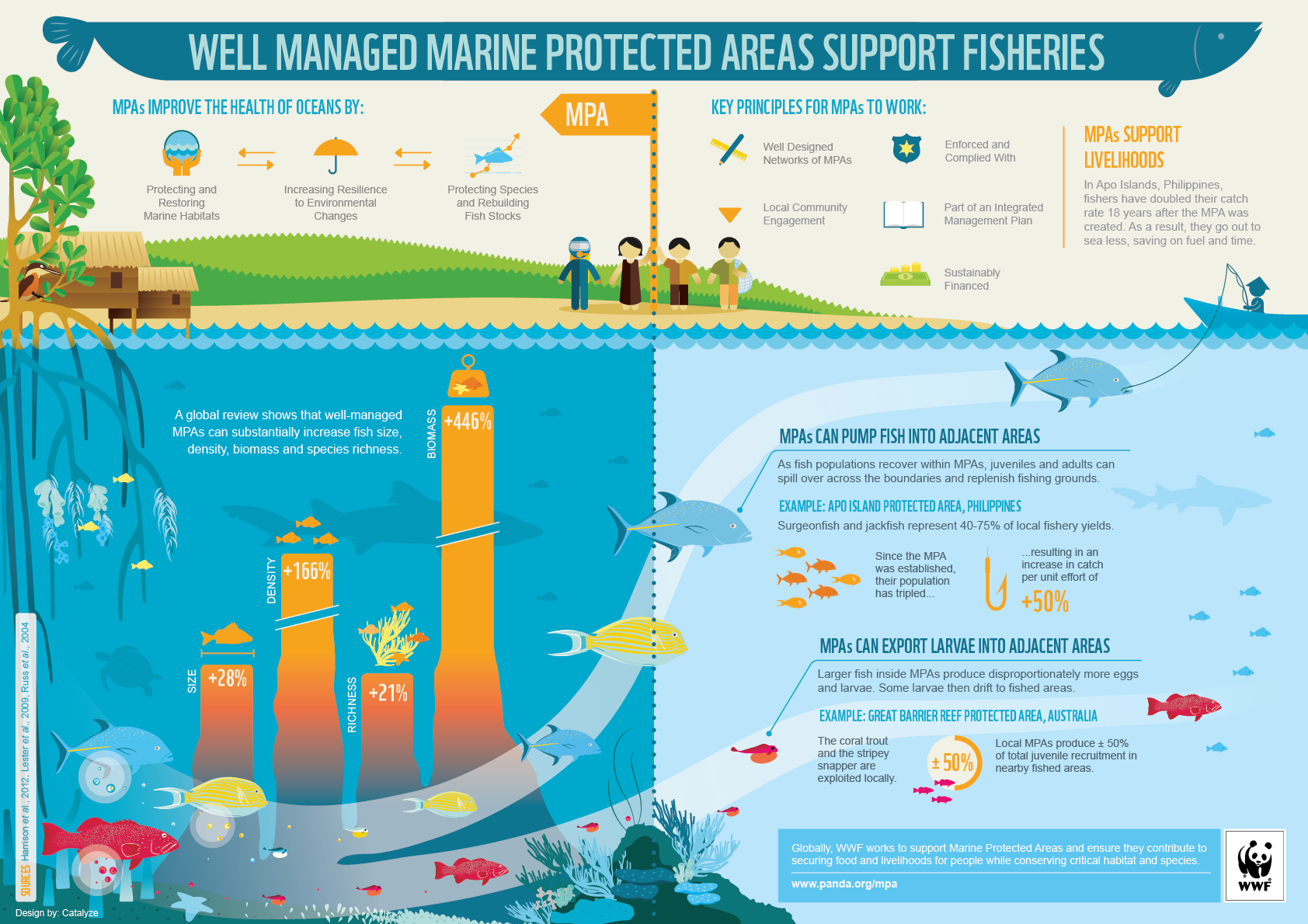 fisheries_benefits_marine_protected_areas_wwf_infographic-1