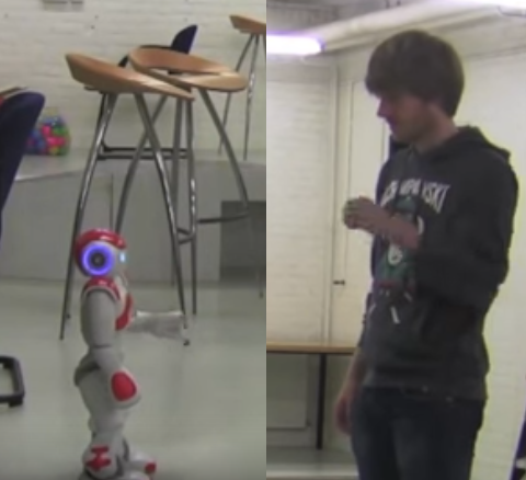 Nao Robot Karate: teaching humans karate