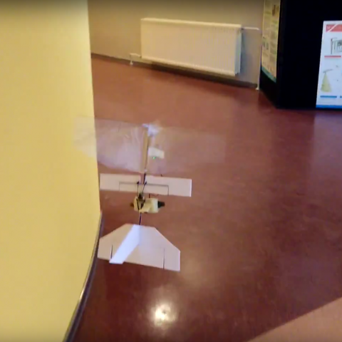 Autonomous flapping wing following a corridor